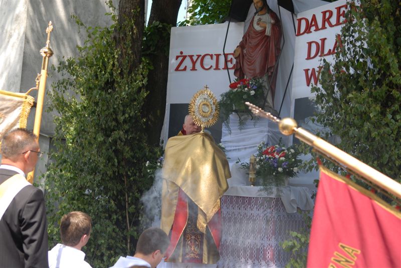 zdjecia12 240